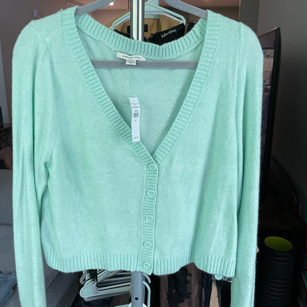 American Eagle Mint Cropped Cardigan